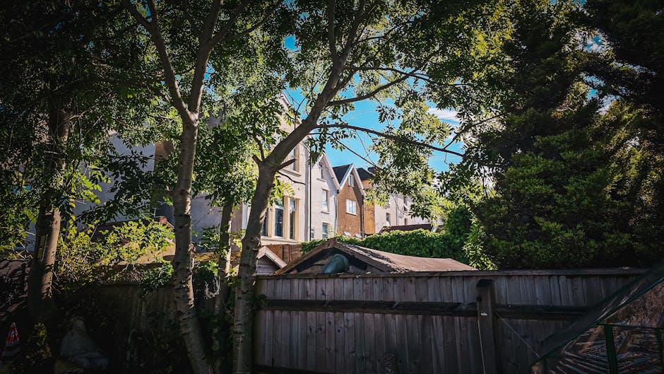 A residential backyard scene during daytime featuring a weathered wooden fence in the foreground, with several tall trees whose branches and green foliage partially obscure the view of multi-storey houses beyond. The houses have varied exterior finishes including brick and light-colored plaster, with gable roofs and multiple windows visible. The sky is clear and blue, with sunlight filtering through the leaves, creating dappled light and shadow across the scene. The setting appears quiet and suburban, with no people or vehicles present. The image reflects a typical residential area that could be associated with private rubbish or loft clearance activities, especially considering the surrounding environment and the natural setting. The overall composition conveys a peaceful outdoor space with potential for waste collection or clearance services like those offered by Rubbish Removal Holland Park, emphasizing the importance of professional waste management in urban residential environments.