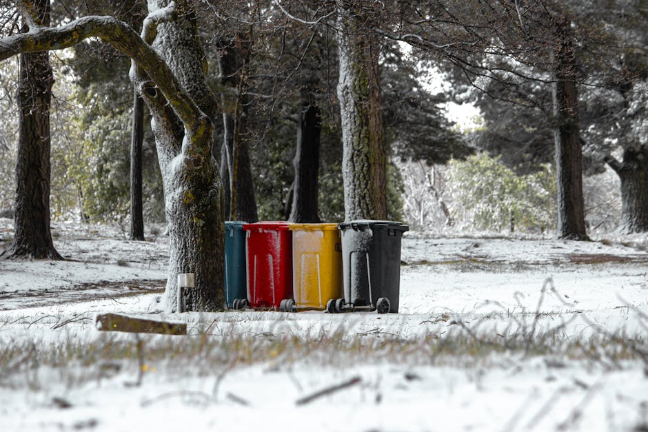 Four wheeled waste bins in different colours—blue, red, yellow, and black—are positioned on a snow-covered ground in a wooded outdoor area. The bins are made of smooth plastic with hinged lids, and their wheels are visible at the bottom. They are arranged side by side, leaning slightly against each other, with the yellow bin partially obscured behind the red one. Surrounding the bins are bare tree trunks and branches, some of which are dusted with snow, indicating a winter setting. In the background, various trees with dark, textured bark stretch upward, with dense greenery visible through gaps in the foliage. The lighting is natural and subdued, creating a calm, wintry atmosphere. This scene depicts an outdoor waste management setup that could relate to private or alternative rubbish collection methods, such as on-site clearance or independent waste disposal services, aligning with general rubbish removal themes.