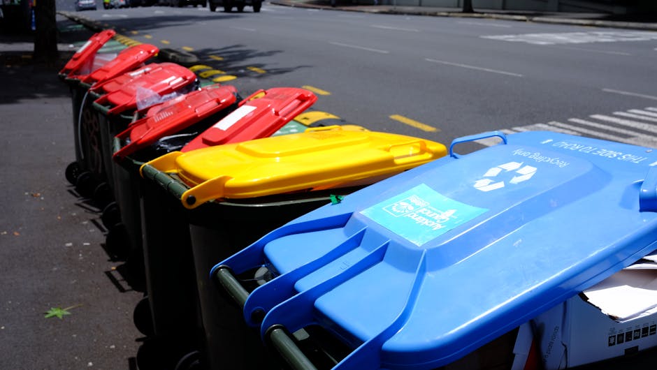 A row of large wheeled rubbish bins lined up along a city sidewalk, with the closest bin being bright blue and displaying a recycling symbol and the words 'Recycling Only.' Behind it, there are yellow, red, and black bins, some with identifiable lids, used for general waste and other recycling purposes. The bins are placed on a paved surface adjacent to the edge of a roadway, with yellow parking space markings visible on the ground. In the background, a street with moving cars can be seen, and a few scattered leaves are present on the pavement nearby. The scene suggests an area designated for waste collection, possibly associated with local waste management services or private rubbish removal, highlighting the organized storage of recyclable and non-recyclable waste in an urban environment. Rubbish Removal Holland Park may sometimes facilitate collection of such waste materials outside of council services, supporting on-site clearance and private disposal needs.